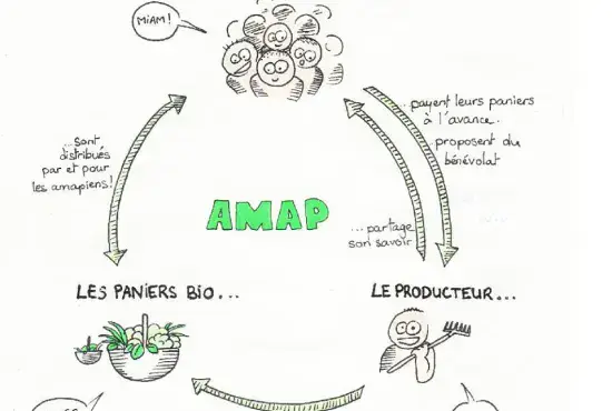 Réunion d'information sur l'AMAP
