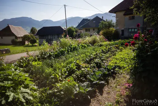Apéro-débat : Savoirs du jardin potager dans le massif des Bauges.