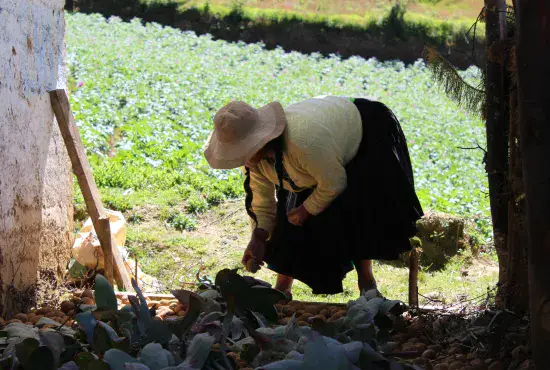 Projection documentaire sur la transition agro-écologique au Pérou