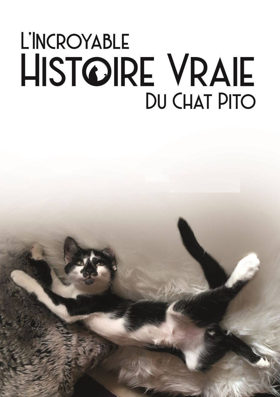 Spectacle jeunesse | L'incroyable histoire du chat Pito
